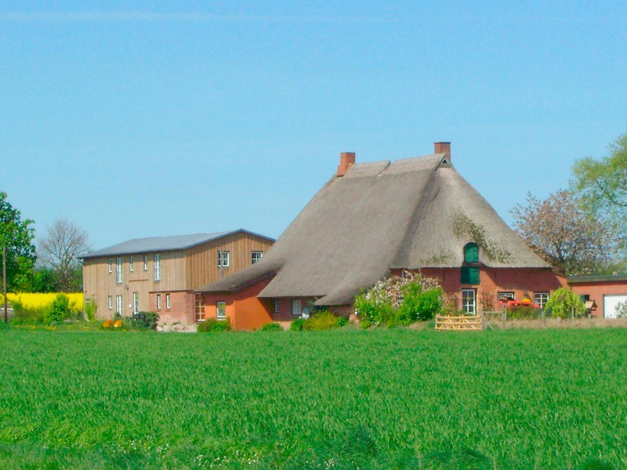 Riepsdorf"Hof Triangel - Whg 2" - Bauernhofurlaubアパートメント エクステリア 写真